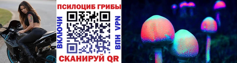 купить закладку  Кущёвская  Псилоцибиновые грибы Psilocybe 